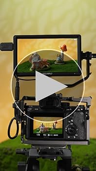 Amazon.com : FEELWORLD S55 6 inch Camera DSLR Field Monitor